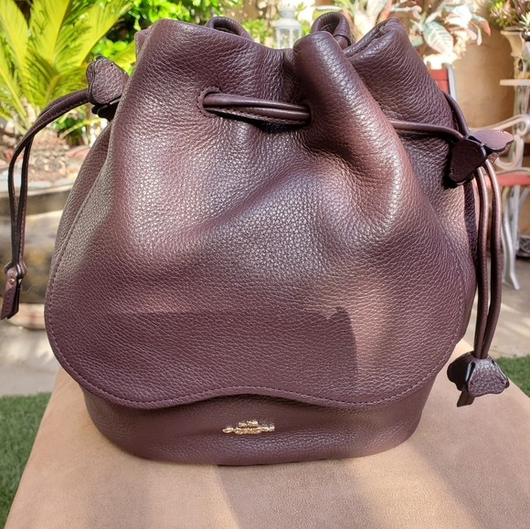 Coach Petal Drawstring Leather Drawstring  Crossbody Handbag F11807 - Picture 7 of 7